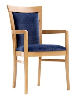 Disability Dining Chair