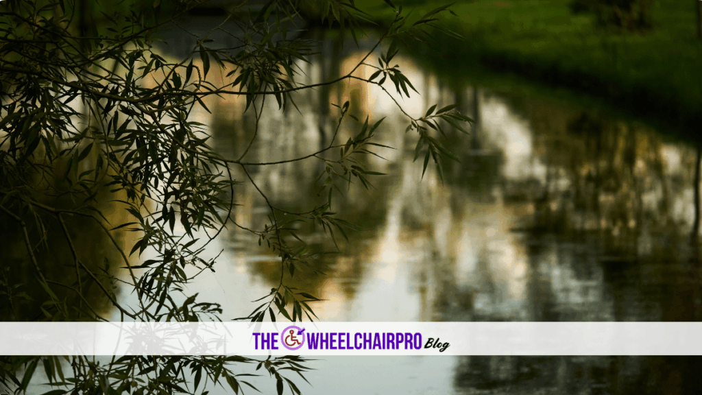 107 Caregiving Carer C