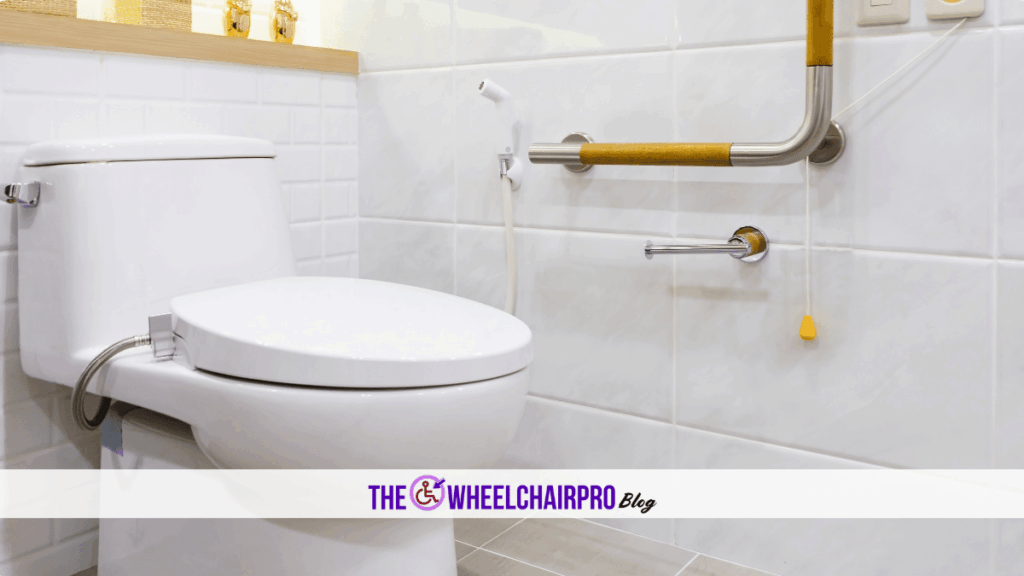 113 Toileting Disability A