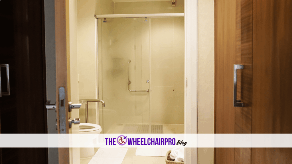 137 Toileting Disability D