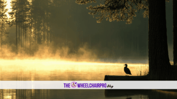 18 Caregiving Carer C