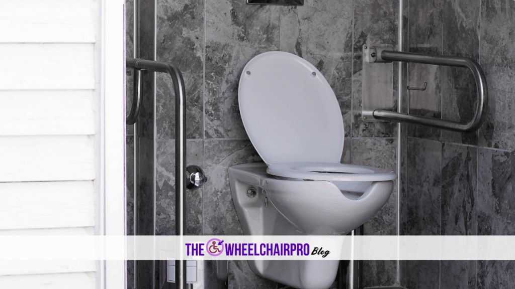 195 Toileting Disability D