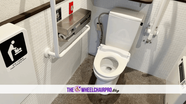 31 Toileting Disability A