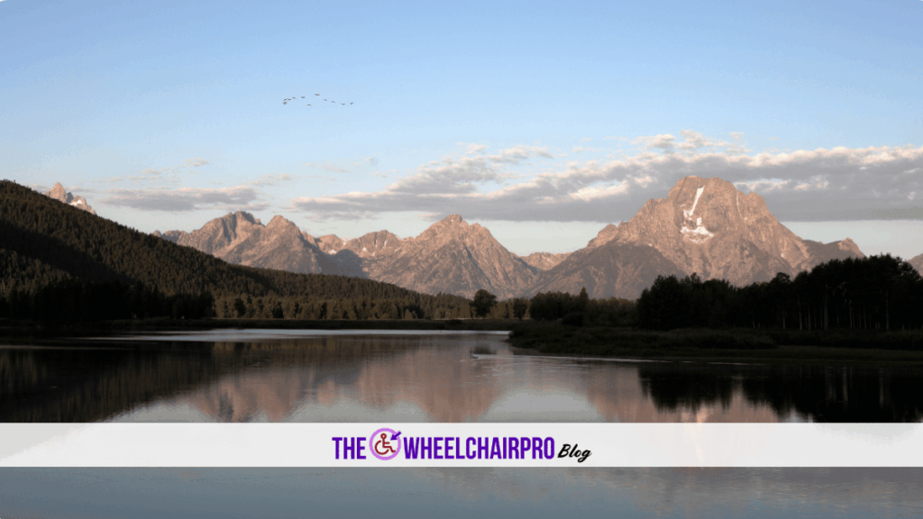 52 Caregiving Carer C