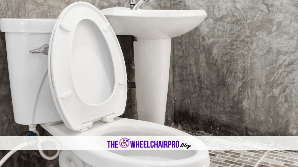 81 Toileting Disability D
