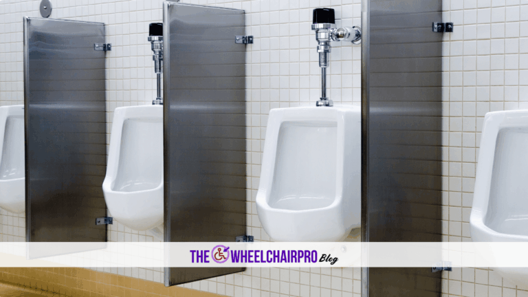 87 Toileting Disability B