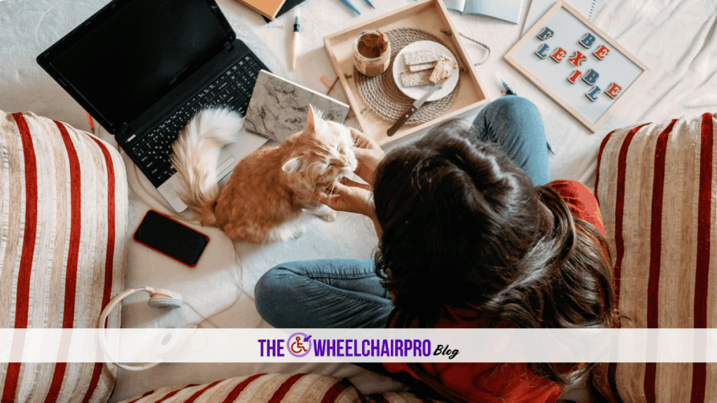 91 Finances Disability C