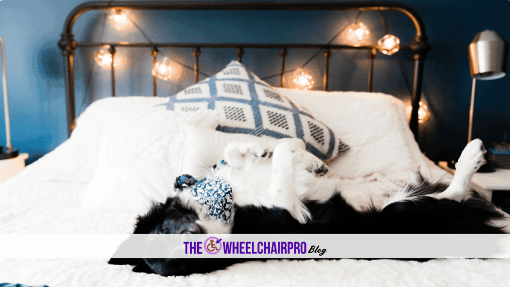 91 Sleep Disability A