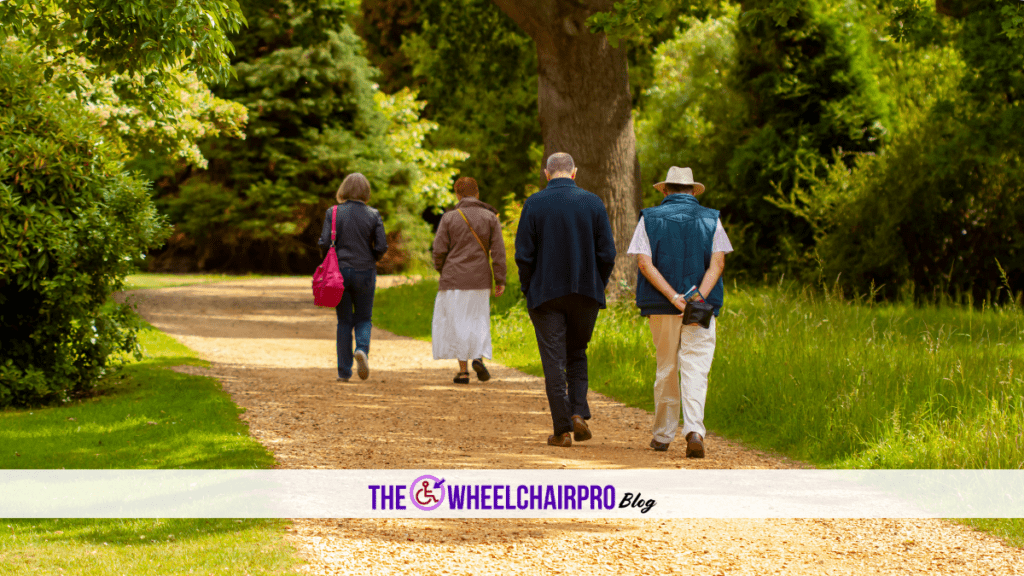 Disability Mobility 6