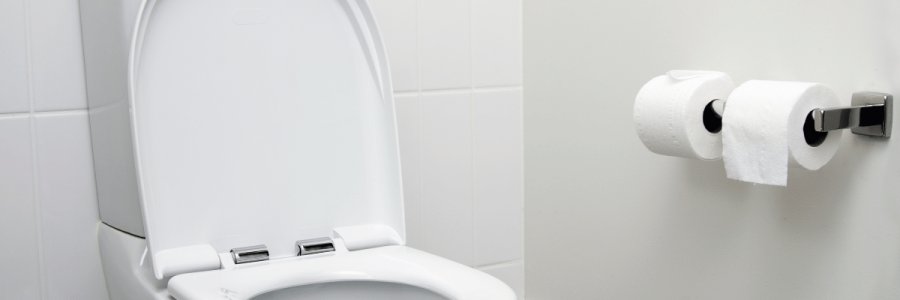 102_Toileting Disability C