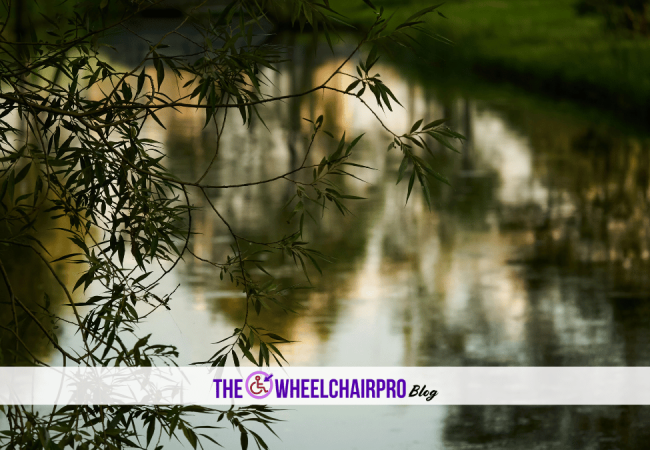 107_Caregiving Carer C