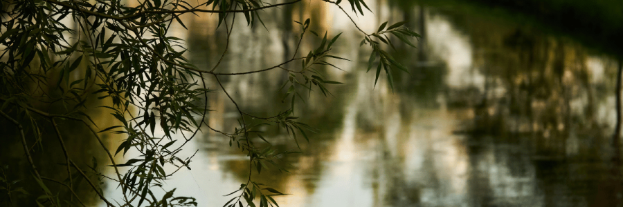 107_Caregiving Carer C