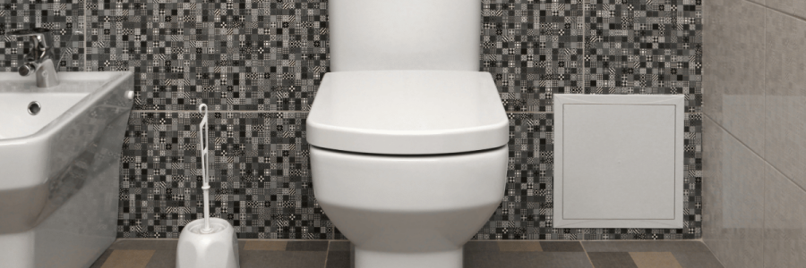 108_Toileting Disability D