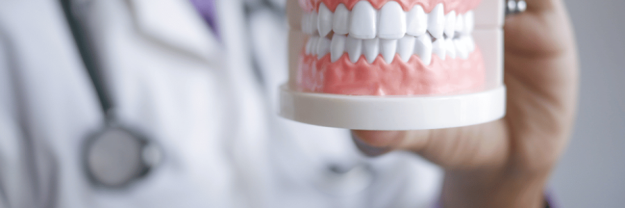 113_Dining Disability C