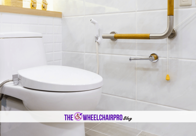 113_Toileting Disability A