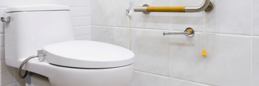 113_Toileting Disability A