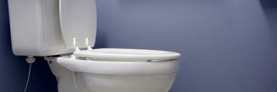 121_Toileting Disability A