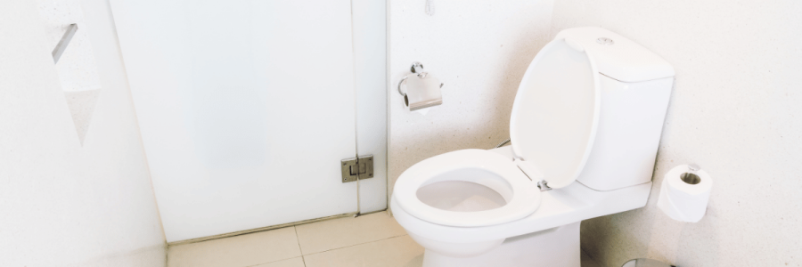 134_Toileting Disability B