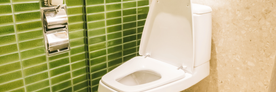 134_Toileting Disability D