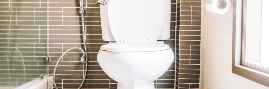 135_Toileting Disability B