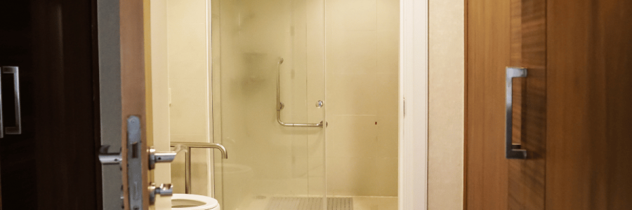 137_Toileting Disability D
