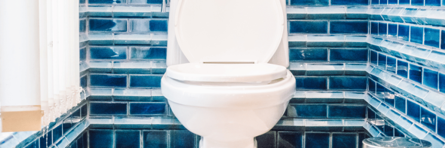 140_Toileting Disability B