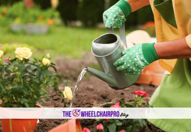 145_Caregiving Carer D