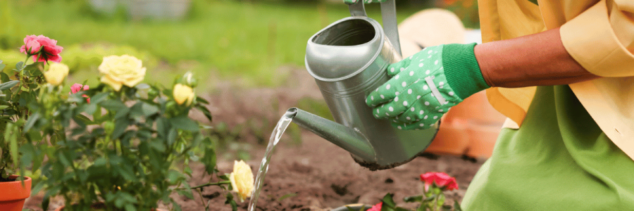 145_Caregiving Carer D