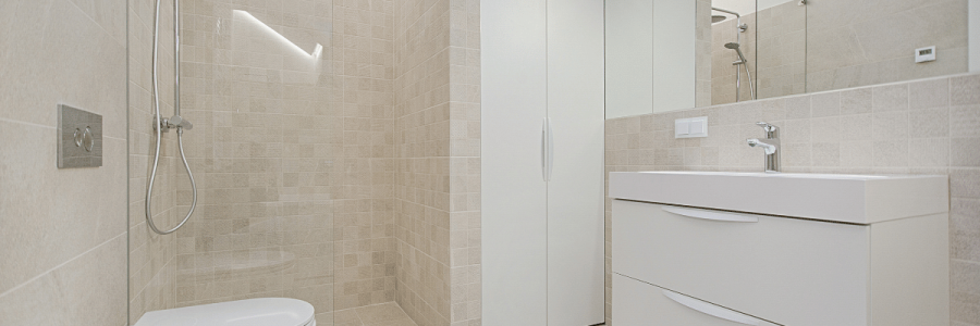 145_Toileting Disability C