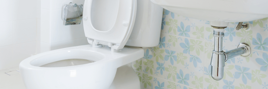 146_Toileting Disability B