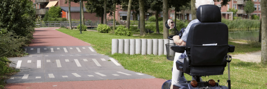 14_Disability Mobility D