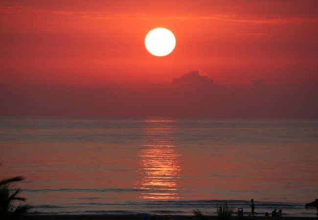 Pressure Sore Treatment in the Elderly: How Pressure Sores Affect the Quality of Life in the Elderly