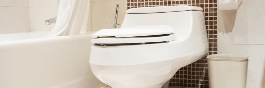 152_Toileting Disability D