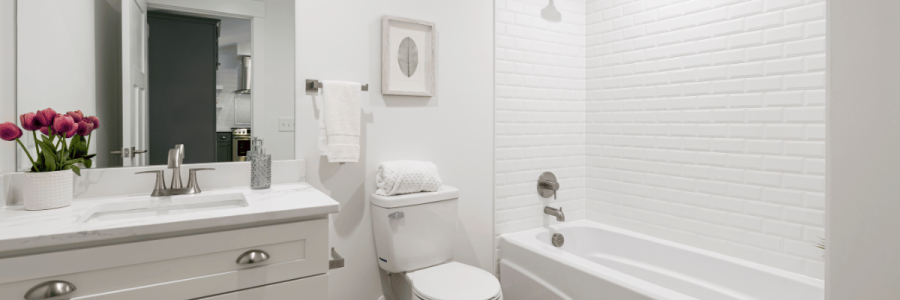 153_Toileting Disability A