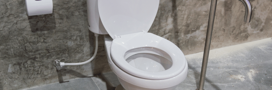 159_Toileting Disability B