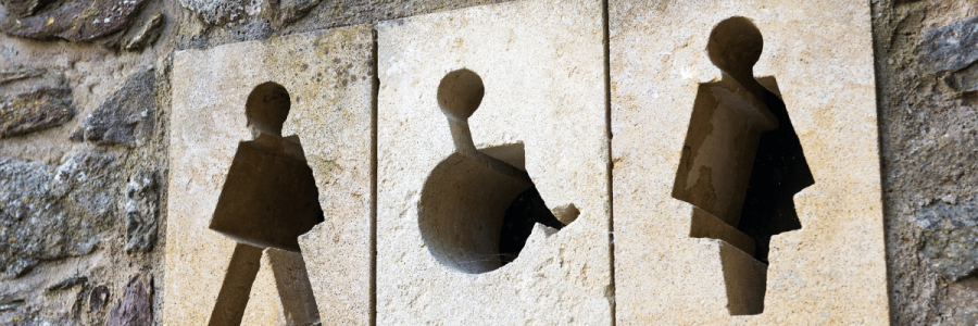 15_Toileting Disability C