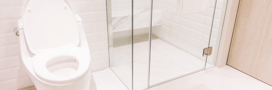 160_Toileting Disability B