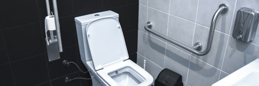 163_Toileting Disability B