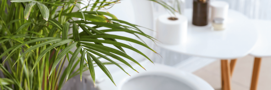 164_Toileting Disability D