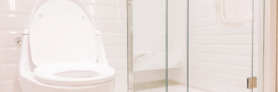 165_Toileting Disability D