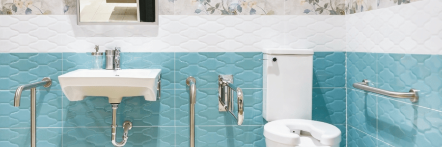 167_Toileting Disability D