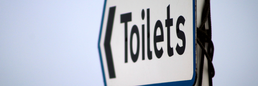 171_Toileting Disability D