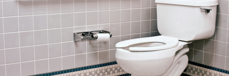 174_Toileting Disability D