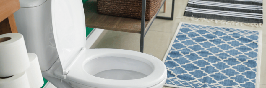 177_Toileting Disability B