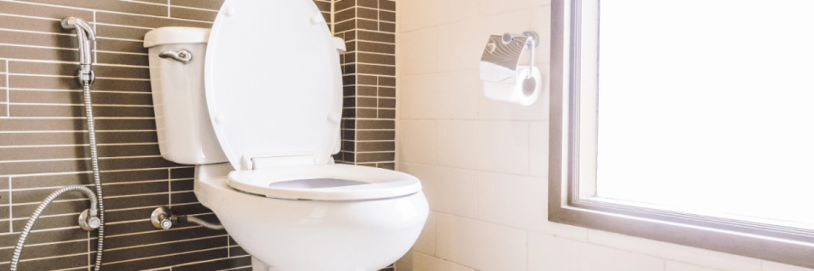 179_Toileting Disability D