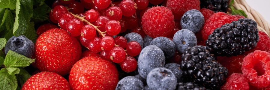 189_Dining Disability B