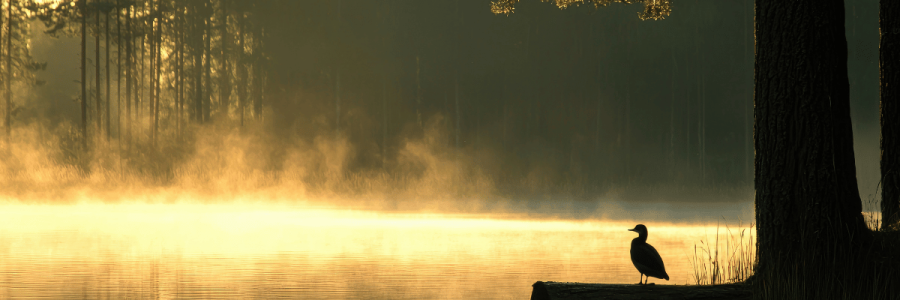 18_Caregiving Carer C