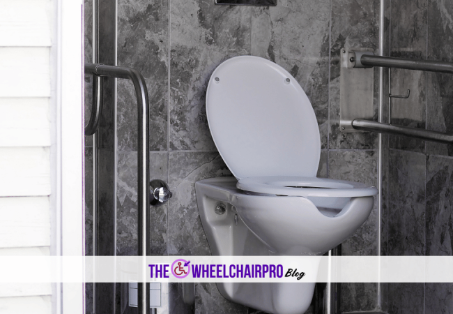 195_Toileting Disability D