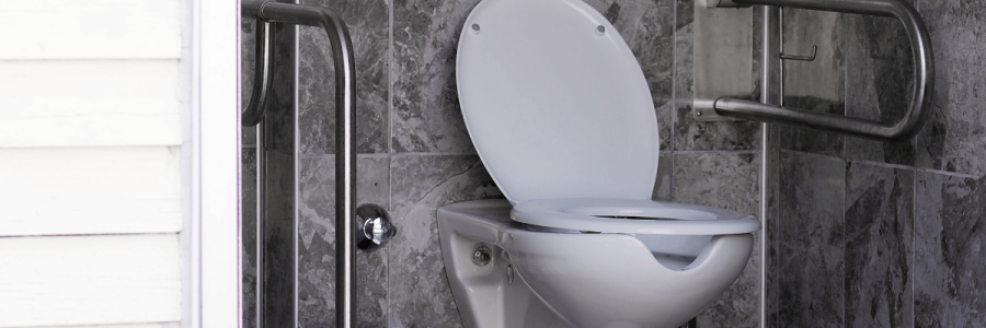 195_Toileting Disability D