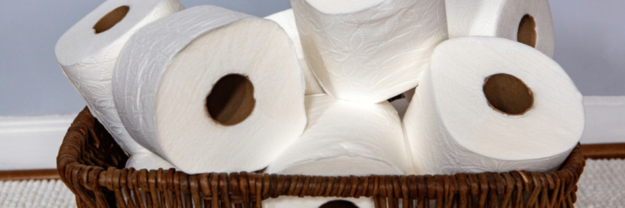 21_Toileting Disability B